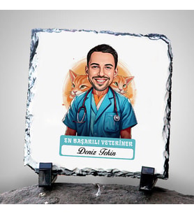 Kişiye Özel Hediye Karikatürlü En İyi Erkek Veteriner Dekoratif Taş