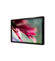 Pembe Çiçek ve Su Damlacığı Çerçeveli Mdf Tablo