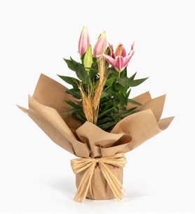 Buket Kağıdında Pembe Lilyum
