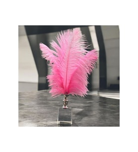 Dekoratif Küçük Boy Küp Kristal Cam Deve Kuşu Tüyü Açık Pembe Gümüş
