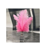 Dekoratif Küçük Boy Küp Kristal Cam Deve Kuşu Tüyü Açık Pembe Gümüş