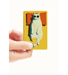 Sevimli Kedi Sahil Mod Kart Kaplama Sticker (Yüksek Kalite)