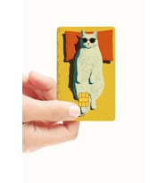 Sevimli Kedi Sahil Mod Kart Kaplama Sticker (Yüksek Kalite)