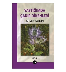 Yastığımda Çakır Dikenleri