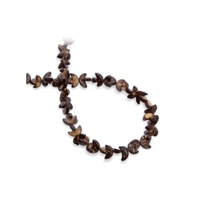Coconut Hindistan Cevizi Ağacı Ay Kesim 5x10mm Dizi