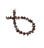 Coconut Hindistan Cevizi Ağacı Ay Kesim 5x10mm Dizi