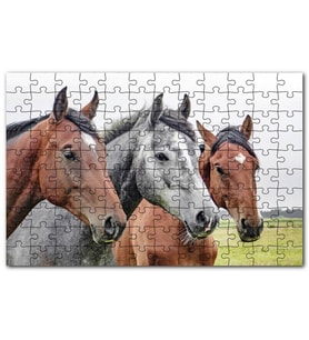 Cakapuzzle Çayırda Kahverengi ve Gri Atlar Yakın Çekim Puzzle Yapboz MDF (Ahşap) (120 Parça)
