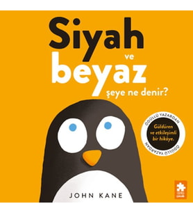 Siyah ve Beyaz Şeye Ne Denir?