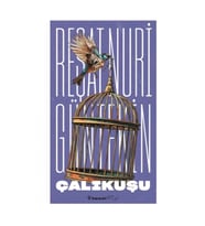 Çalıkuşu (Yeni Kapak)