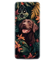 Honor 200 Kılıf Boutique Baskılı Resimli Köpekçik Pcode -021
