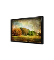 Park Çerçeveli Mdf Tablo
