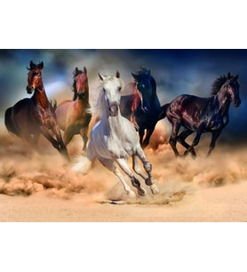 Nova 2000 Parça Toz Duman Koşan Atlar Puzzle - 46002
