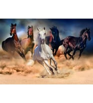 Nova 2000 Parça Toz Duman Koşan Atlar Puzzle - 46002