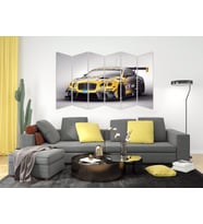 SPOR ARABA MDF TABLO-1215 MODEL-B