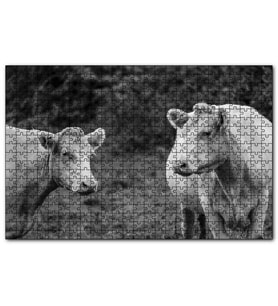 Cakapuzzle İki Beyaz İnek Görseli  Puzzle Yapboz MDF (Ahşap) (120 Parça)