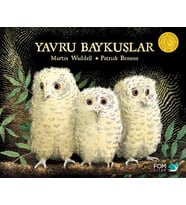 Yavru Baykuşlar