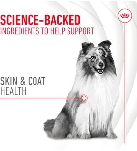 Skin&Coat Chews Yetişkin Köpekler İçin Deri ve Tüy Sağlığını Destekleyen Tamamlayıcı Ödül Maması 240g