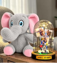 Kişiye Özel 3 Fotoğraflı Yazılı LED Işıklı Fanus ve Sevimli Peluş Fil Hediye Seti (pandalı)