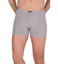 Erkek Modal Boxer Short Gri 4488B