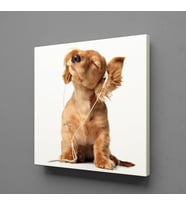 MÜZİK DİNLEYEN KÖPEK KANVAS TABLO 190x190cm