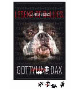 Dax Legend Puzzle 240 Parça Yapboz