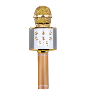 Profesyonel Bt Kablosuz Mikrofon Karaoke Hoparlör Ktv