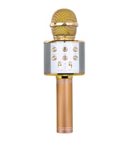 Profesyonel Bt Kablosuz Mikrofon Karaoke Hoparlör Ktv