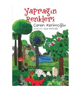 Yaprağın Renkleri