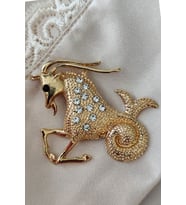 Stellar Capricorn Zarafet Oğlak Broşu