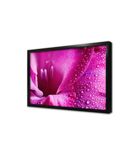 Pembe Çiçek Makro Çerçeveli Mdf Tablo