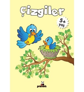 Çizgiler 5 Yaş