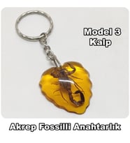 Akrep Fosilli - Toz Kehribar - Anahtarlık - Model 3 - Kalp