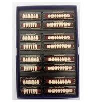 Serra Dental Diş Hekimliği Öğrencileri Için Eğitimi Amaçlı Akrilik Yapay 28'lik 4 Takım Diş