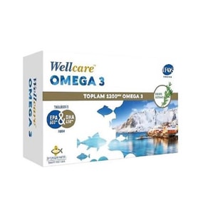 Wellcare Omega 3 Balık Yağı 1200 mg 30 Kapsül
