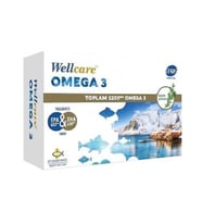 Wellcare Omega 3 Balık Yağı 1200 mg 30 Kapsül