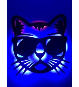 Cool Cat LED Işıklı Tablo