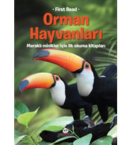 Orman Hayvanları