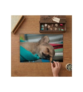 Uyuyan Sevimli Köpek Tasarımı 240 parça Ahşap Puzzle Ahşap Kutuda MP06654
