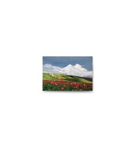 DBSanatevi Karlı Dağlar Tablo 50 x 70 cm