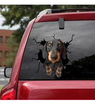 Araba Arka Cam Köpek  Sticker Yapıştırma 17cm A4