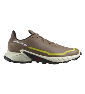 Salomon L47460100 Alphacross 5 Spor Ayakkabı Kahverengi