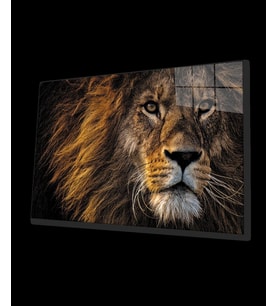 Aslan 11 Cam Tablo