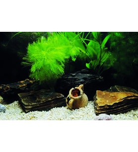 Kanki Pet KP7045033 Akvaryum Arka Fon Yapıştırma 70 x 45 CM