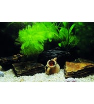 Kanki Pet KP7045033 Akvaryum Arka Fon Yapıştırma 70 x 45 CM