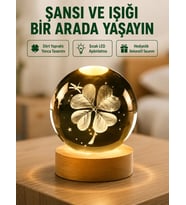 Yonca Figürlü Cam Küre USB Işıklı Ahşap Tabanlı Dekoratif Masa Lambası