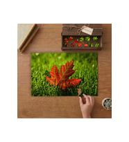 Çimenlerin Üstündeki Kırmızı Yaprak Tasarımı 240 parça Ahşap Puzzle Ahşap Kutuda MP02048