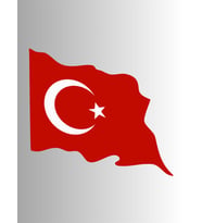 AYYILDIZ BAYRAK DALGALI 8cm STİCKER ETİKET