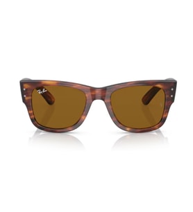 RayBan 0840S 954/33 51