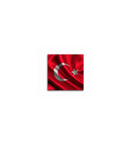 DBSanatevi Dalgalanan Türk Bayrağı Tablo 35 X 35 Cm