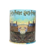 HARRY POTTER 102 30 06 METAL YUVARLAK MASAÜSTÜ KALEMLİK